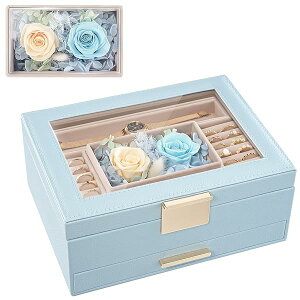 KXWtWG[I[KiCU[Aot2wWG[{bNXP[XAւ̃MtgACOAvAwփfBXvC[