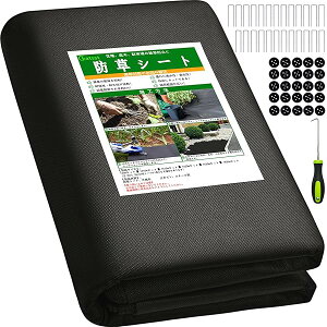 yǔŁzhV[g ڂV[g UsY25{ƍ25t 1x10m  ϗpN5N Gh~ V[g ubN (1x10m)