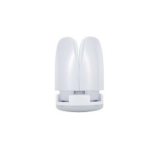 2{yz60W 6000Lm LEDd 5  pCg led Ɠ  E26 pNbvv K[WCg