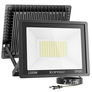 LED  y100WPxE2.5mR[hE^zA~ O Cg pxR 10000LM F 6500K JΉ IP66h ȃGl O o[xL[ K[W J[|[g ԍH  Ɩ 