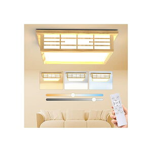 yzLedV[OCg 12 50W a lp ؖڒ F VƖ 6500LM ȃGl ڂɗD Ceiling light 铔 Rt X}zAPP 5N a/Q//rO//
