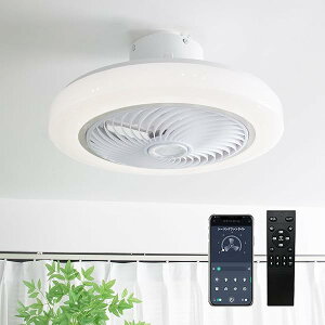 yzy2025ŐV ʁzV[Ot@Cg VƖ  5H 4000lm 6~8 KiF //g 6Kiʒ t] ^C}[@\ [@\ É 