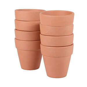 yz8Ap VvłȃfUC ʋC̗ǂt