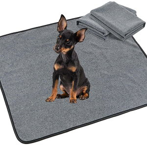 yz Lp􂦂ybgV[c@pbh@ybgp@~ }bg@ ~߉H V[c@@Ŋې􂢁@JԂp\iO[ 60×45cm 2Zbgj