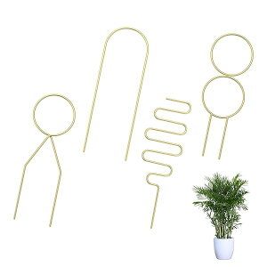 【送料無料】ゴールド メタリック 園芸支柱 植物支柱 金属 スパイラル スタイル 【5点セット】 観葉植物 支柱 おしゃれ ゴールド ツルネ サポート 蔓性植物 バラ 花 チューリップ ヒヤシンス