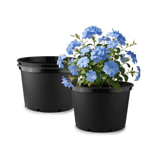 yz^v^[ 40cm 3_Zbg vX`bN Aؔ ʔrt 2mm AւȒP |  ʎ Ԃ͔| ƒ؉ | ϗtA A [ EOp a400×260mm