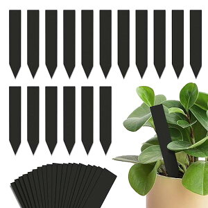 yz|x vcl[v[g ^/100 T^/ 60 Ԓd A K[fjO JԂg A^O  |pi (^ 100)