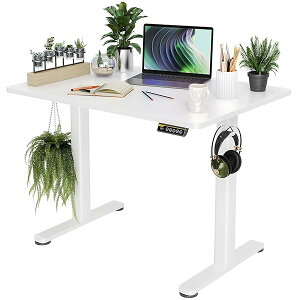 【送料無料】昇降デスク 電動 スタンディングデスク 昇降式 テーブル 幅100cm*奥行き60cm テレワーク オフィスデスク 在宅ワーク パソコンデスク 高さ調節 メモリー機能 ホワイトフレーム/ホ