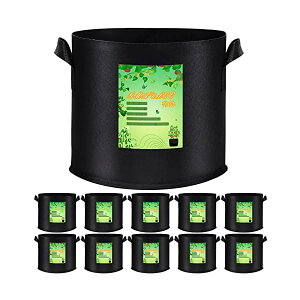 yzsDzv^[ ͔| z 5K10Zbg tFg A A琬  ʋC t ԍ͔| ؍͔| |ʕ͔|