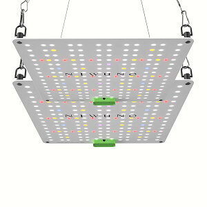 yzA琬Cg pl LEDCg UVa+IR ϗtA/AKx///A/rJNV_/ANAEiAurora Q-Pad,45W,2 Setsj