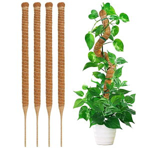 yz4PCS |x ϗtAXe x wS鐫A RRXeBbN ێ {ێ RRibc_ K[fjOT|[g _Ɨp |p(64CM)