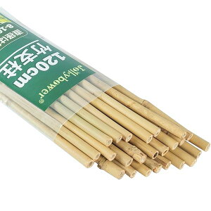 yz25{ZbgVR| 120cm | | Y |x xp| ƒ؉̃g}gAށAԁAAȂǂő劈 |p| A