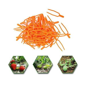 yz500{ i[s AT|[g |Nbv ŒtH[N AŒNbv Z C`S A ŒtH[N _Ɨp Nbv |p U K[fjO |p 