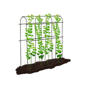 yz؉IZbg イI ؒI AIx Ax K[fA[` A[` [YA[` o[S o KтȂ KNA[` O gݗĂ񂽂  K[fj