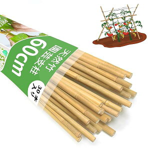 yz| x60cmAVR| x 30{A| ̒| ƒ؉ |pi ߂ |YALEAg}gAAԁAAFȐAɓKp