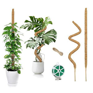 yzGRth[ VRf RRV@ۖ_ |x Ax ϗtApNC~OT|[gvȃT|[g DIYŔCӂ̌`ɂ ɗD (70*2)