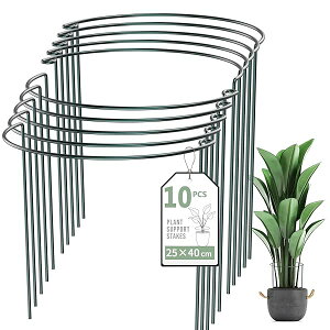 yzAx 10Zbg 25cmx40cm ~` Ԃ 鐫A ϗtA U K[fjOp | x AT|[g Ԏx _Ɨp |p