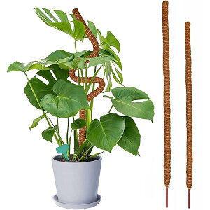 yz2{Zbg |x Ax ϗtx 鐫A ϗtA T|[g U x RRibcx _Ɨp |p