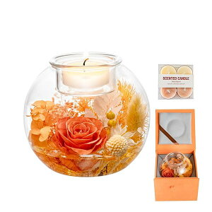 yzvU[uht[Mtg Lhz_[ ͂Ȃ av[g [glC ꂳɑ蕨 MtgFB {[Cth ޏ  킢 LO a