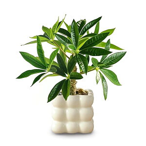 yzG} tFCNO[ ~jϗtA MъϗtA ̂Ȃ؃Z~bNގp^  ϗtA tFCN t ȃCeAG bsv sv ցE