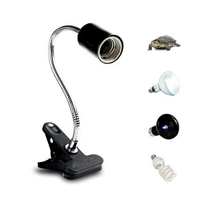 yz঒ރCgX^h OCg\Pbg NbvX^h  T Jiwr NK gJQ E26