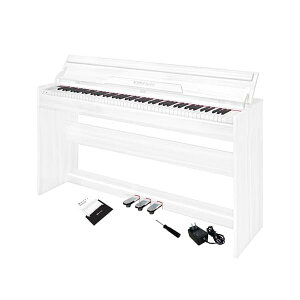 yzdqsAm 88 ؐ dqsAm AbvCg 88 dqsAm y_t q S MIDIΉ CguE