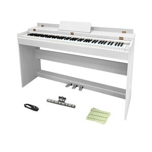 yzyn}[ANV88Ձz Longeye dqsAm 88 sAm^b` MOLD1 3{y_ hoJo[ tbvJo[ ؐX^h wbhzgp MIDI[qΉ 380މ