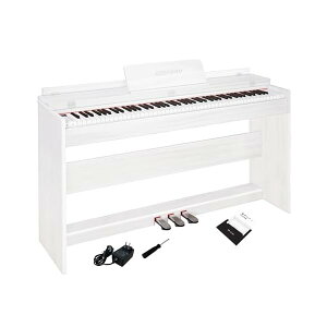 yzdqsAm 88 n}[ANV ؐ sAm AbvCgsAm Digital Piano lC 88 y_t dq sAm q S MIDIΉ