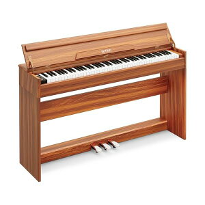 yzؐ dqsAm 88 AbvCg sAmdq sAm{ X^ȟ^ Digital Piano y_t t@NV{bNX MIDIΉ q S l Kp sAmJo[t