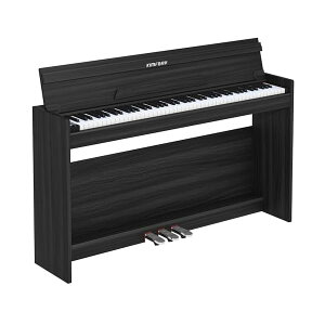 yzdqsAm n}[ANV 88 ؐ dqsAm ŊW܂ sAm 88sAm y_t q S MIDIΉ zCg