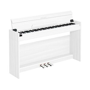 yzdqsAm n}[ANV 88 ؐ dqsAm ŊW܂ sAm 88sAm y_t q S MIDIΉ zCg