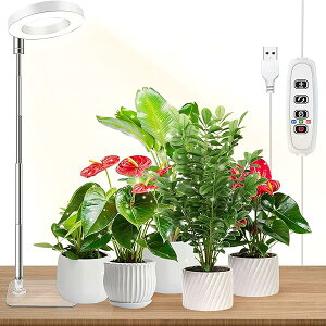 yzA琬Cg ͔|Cg ߉\ X^h3i^C}[i3/9/12ԁj k͔| A OF[h10iK̒ USBd ͔|p ()