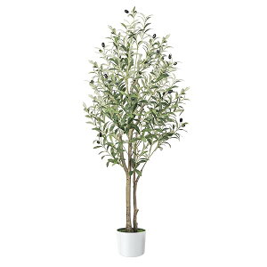 yzϗtA y120cmztFCNO[ ^G} C CeA Ƃ̒ɒulHϗtA ̊  bȂ sṽz[  Lb` ItB