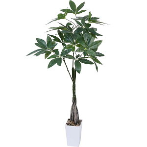 yzlHϗtA tFCNO[ ϗt  pLy110cmzG} C  CeA z[ ItBX fR[V ϗtA  