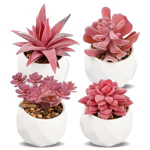 yz4_Zbg lHA ~j AA ͂ȂϗtA  z[  ? fR[V ͂ȂO[ z[fR[VtFCNO[ CeAO[ 