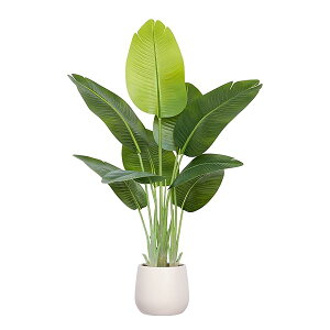 yzylHϗtA120cmztFCNO[ ^C9tťG} ϗtACAؔtϐ΁Cp lHϗt ^CeA Q rO ItBX 