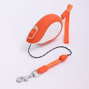 yz^ ^ Lk[h p[ Lт郊[hy2025NfVo 㒴yʐ݌vz u3mv (IW)