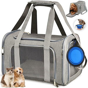 yzybgL[ ܂肽 L L[ obO ^ E^LpE^Ep LCȂ ԍ/hCu/LsO/s/ʉ@/ЊQp ܂肽 [t p