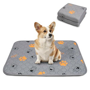 yzybgV[c 􂦂  L ybgp }bg ~ ybg}bg ~ h  L q/VjẢV[c JԂgp\  iO[ 60x45cm 