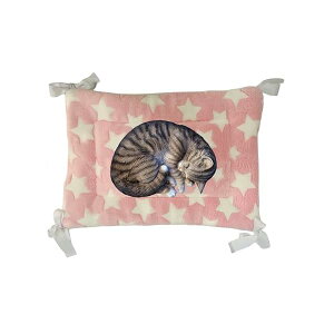 yzybg }bg P[Wp L xbh Lbg^[ lRt Ȃ 􂦂 Lbg^[ 􂦂  ybgxbh (sN)