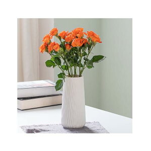 yzԕr t[x[X  zCg k  傫 CeA Ԋ  hCt[ Z~bNX t[x[X (fUCA-M(20cm))