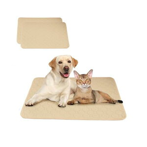 yzw2025 ǌ^xybgpgC}bg 􂦂 ^Cv Lpbzpbh zEE~߁Eh~bېOKEJԂgpbgCg[j