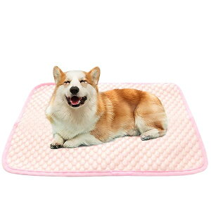 yz L Ђ}bg  N[}bg ڐG⊴ ЂЂ ΍ ⊴~pbh ybgpV[c ڐG⊴V[c ʋC K 薰 􂦂 JԂp\ ybgp