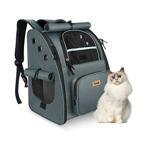 yzL bN ybg y񐢑AbvO[hŁzbNt@Xi[E3ʃJ[et ybgL[  ʋC L [obO ^Ep s/ʉ@/ЊQ