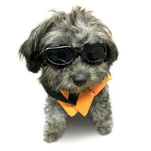 yzDog Goggles - Small Dog Sunglasses Waterproof Windproof UV Protection For Doggy Puppy Cat - Black 141msAn