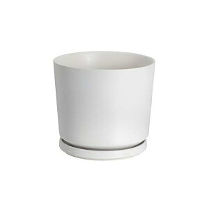 yzAؔ 픫 v^[ 5 󂯎Mt t    A CeA  ItBX   1.24kg ϗtA A 14cm