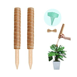 yz|x ϗtAXe wSx鐫A RRXeBbN AT|[gt[X^h RRibc Ԏx K[fjO _Ɨp |p i240cm|x+2m+5T