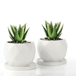 yzA   T{e   ~jAؔ  ^ Aؔ 퐻gCAlbgt 2_Zbg v[g AȂ(zCg)