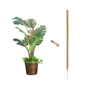 yzϗtA x GRth[ VRf wSx RRV@ۖ_ |x ϗtApNC~OT|[gvȃT|[g DIYŔCӂ̌`ɂ ɗD (160*1)