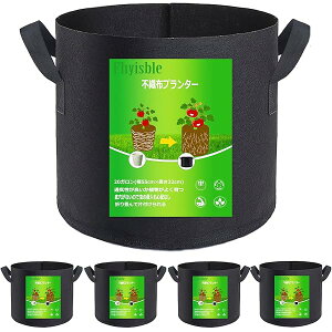 yzsDzv^[ ͔| z Aؔ sDz|bg 20K5 55cm×32cm 16 73bg y ƒ؉  ͔| z z (20K5)